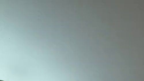 Download: mycandyalice - POV Femdom JOI – Ich setze mich auf dein Gesicht und zeige dir, wie du meine Muschi richtig leckst.