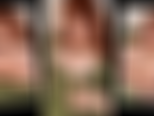 Download: nerdy_cinnamon - Die geilen Naturtitten werden geknetet und massiert