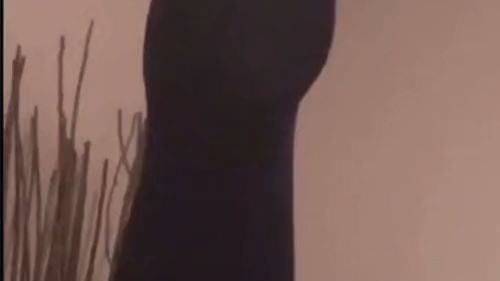 Download: ninchen2201 - Diesmal ohne Spielzeug, selbst ist die Frau!