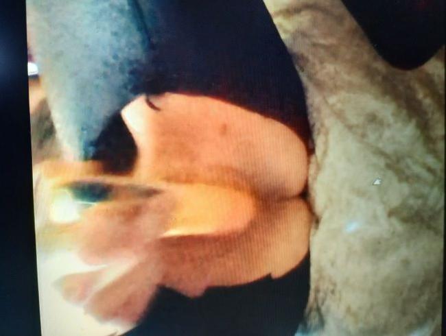 Download: nugua - Ich zeig dir was schönes....