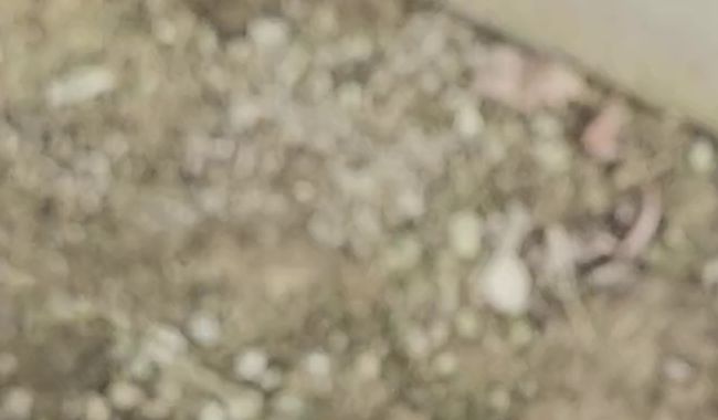 Download: rico3110year28 - Für Natursekt Fans :)