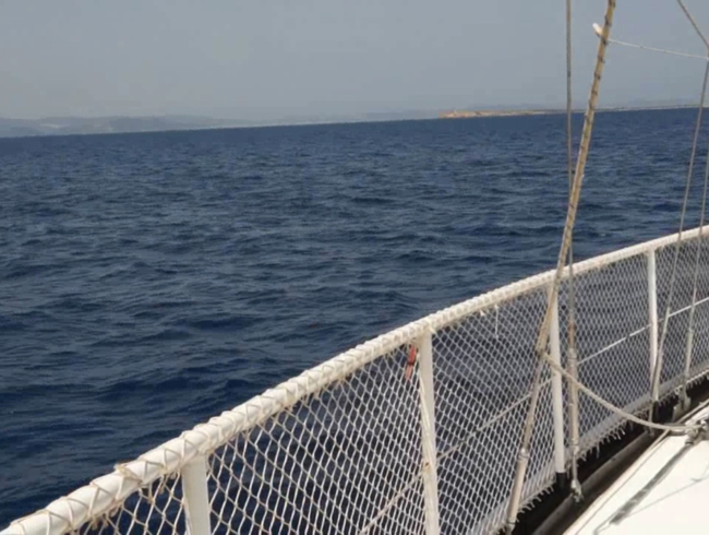 Download: salmadenora - Die Riesen Fotze