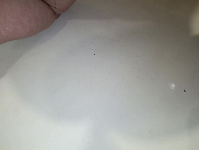 Download: sansaniz1964 - Anale Masturbation mit Milch