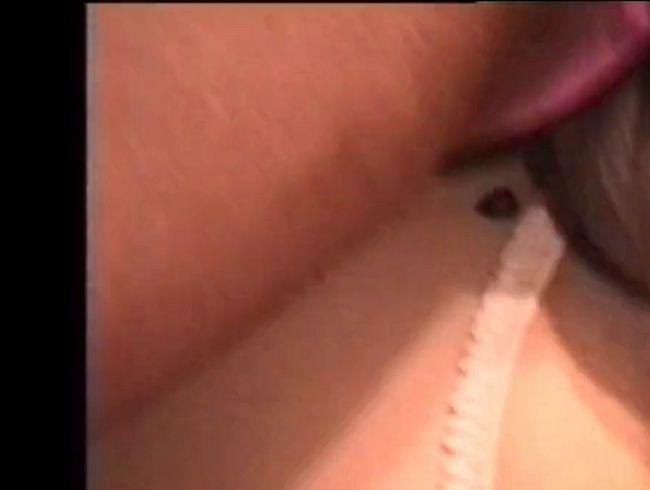 Download: sonntag12 - Fickunterlage 