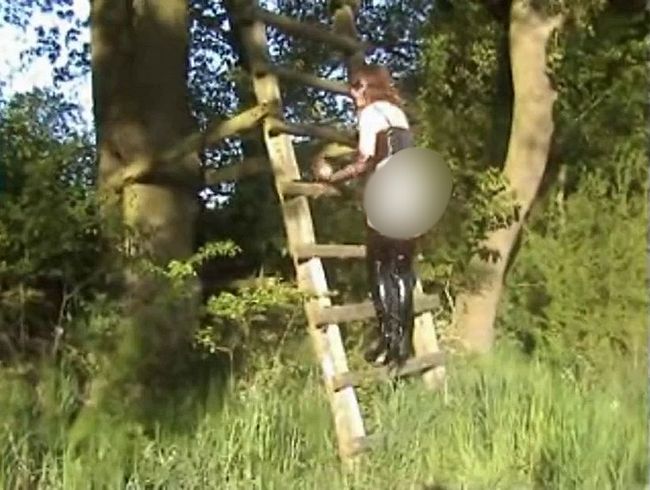 Download: sonntag12 - Am Hochsitz ...