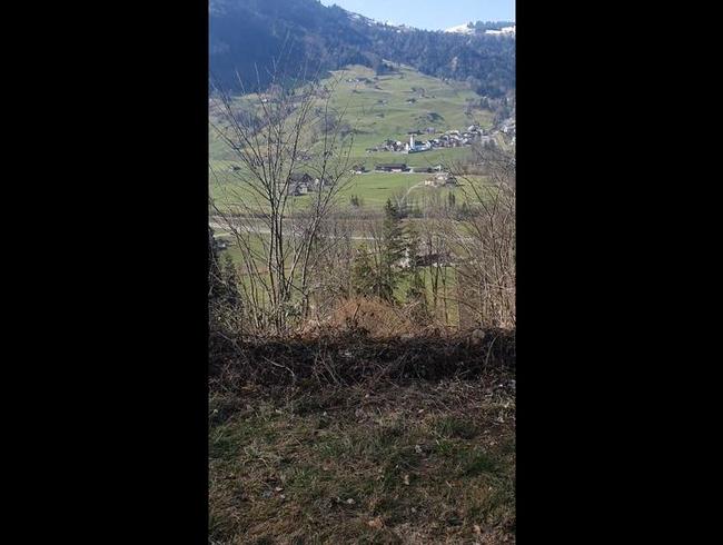 Download: stephania1 - Pissen mit Aussicht