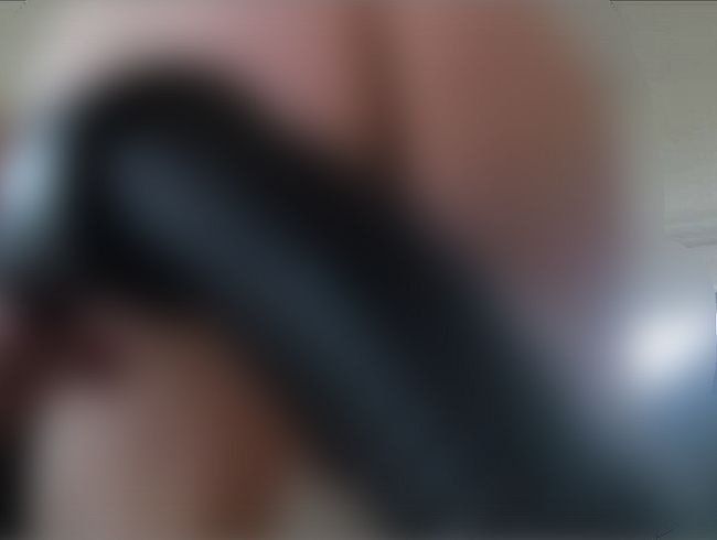 Download: stier11 - Hausarbeit