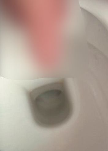 Download: stier11 - Morgen Piss