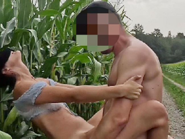 Download: swisslovers8886 - Wir ficken im Maisfeld neben der Strasse und hoffen nicht erfischt zu werden