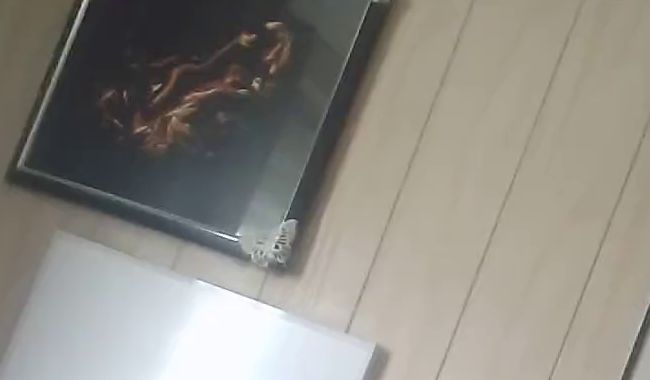 Download: tammara28 - High Hells und Nylons