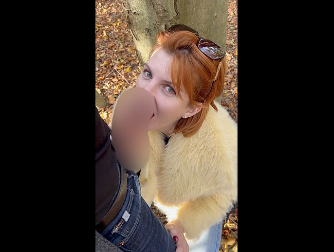 Download: vivien_sin - Autumn Fire — Lost in the Woods