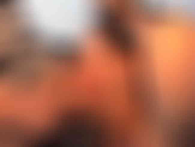 Download: wetleila - Gleich in die Gesichtsfotze.