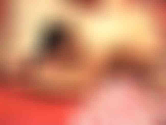 Download: wetleila - Treffen mit meinen treuesten Userkunden, verschmust und devot!