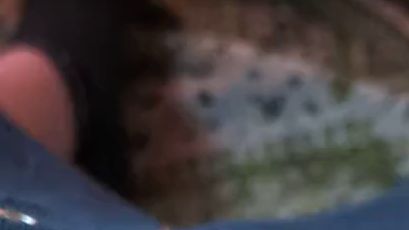 Download: xentrex - Ich wixxe mir meinen eingeölten großen schwanz und komme endlich nach über zwei stunden